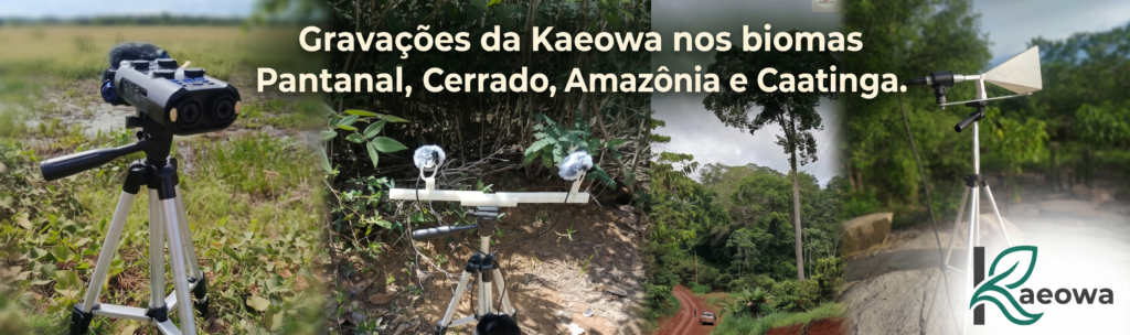 Acústica biomas